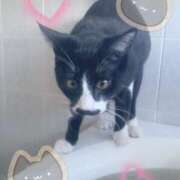 ヒメ日記 2025/02/11 14:20 投稿 てん 甘熟クラブ