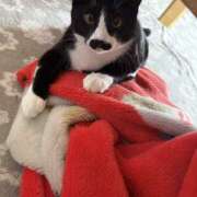 ヒメ日記 2025/09/27 09:31 投稿 てん 甘熟クラブ