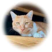 ヒメ日記 2025/09/28 12:20 投稿 てん 甘熟クラブ