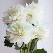 ヒメ日記 2025/10/16 16:48 投稿 てん 甘熟クラブ