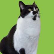 ヒメ日記 2025/10/20 21:43 投稿 てん 甘熟クラブ