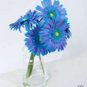 ヒメ日記 2025/11/19 23:18 投稿 てん 甘熟クラブ