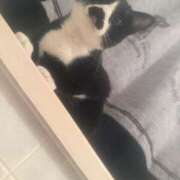 ヒメ日記 2025/11/26 20:31 投稿 てん 甘熟クラブ