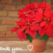 ヒメ日記 2025/12/03 18:40 投稿 てん 甘熟クラブ