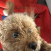 ヒメ日記 2025/12/25 16:08 投稿 てん 甘熟クラブ