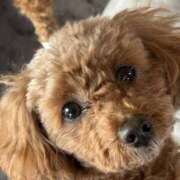 ヒメ日記 2026/01/25 14:06 投稿 てん 甘熟クラブ