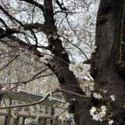 ヒメ日記 2025/03/30 13:16 投稿 綾瀬 ふみ 夜這い専門 発情する奥様たち梅田店