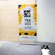ヒメ日記 2025/05/04 11:26 投稿 綾瀬 ふみ 夜這い専門 発情する奥様たち梅田店