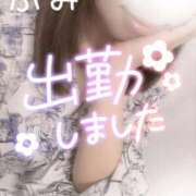 ヒメ日記 2025/05/05 12:26 投稿 綾瀬 ふみ 夜這い専門 発情する奥様たち梅田店