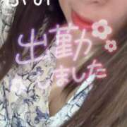 ヒメ日記 2025/05/16 13:56 投稿 綾瀬 ふみ 夜這い専門 発情する奥様たち梅田店