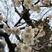 ヒメ日記 2026/03/26 14:56 投稿 綾瀬 ふみ 夜這い専門 発情する奥様たち梅田店