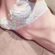 ヒメ日記 2025/11/03 14:24 投稿 あのね チューリップ福井本館