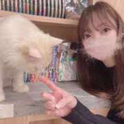 ヒメ日記 2025/02/05 19:37 投稿 ことね チューリップ福井本館