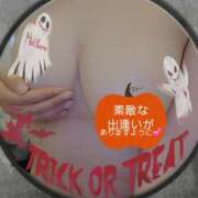 ヒメ日記 2025/10/26 10:35 投稿 長岡 彩香 こあくまな熟女たち 鶯谷・日暮里店(KOAKUMAグループ)