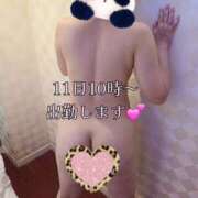 ヒメ日記 2026/04/09 15:09 投稿 長岡 彩香 こあくまな熟女たち 鶯谷・日暮里店(KOAKUMAグループ)