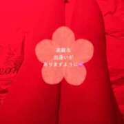 ヒメ日記 2026/04/11 08:57 投稿 長岡 彩香 こあくまな熟女たち 鶯谷・日暮里店(KOAKUMAグループ)