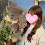 ヒメ日記 2025/05/01 18:42 投稿 すみれ ときめき純情ロリ学園～東京乙女組 新宿校