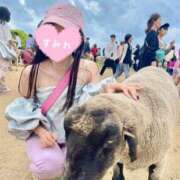 ヒメ日記 2025/05/05 18:42 投稿 すみれ ときめき純情ロリ学園～東京乙女組 新宿校