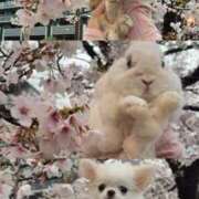 岸かおり 珍しく平日出勤❕ 西船橋快楽Ｍ性感倶楽部～前立腺マッサージ専門～