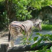 ヒメ日記 2025/08/10 18:36 投稿 ゆうき ナイスディ