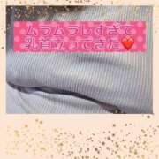 ヒメ日記 2025/02/20 12:59 投稿 あおい 大阪和泉ちゃんこ