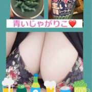 ヒメ日記 2025/02/28 09:49 投稿 あおい 大阪和泉ちゃんこ