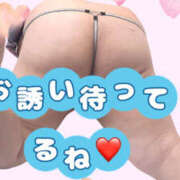 ヒメ日記 2025/03/05 15:19 投稿 あおい 大阪和泉ちゃんこ