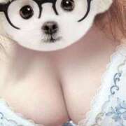 ヒメ日記 2025/03/15 15:49 投稿 あおい 大阪和泉ちゃんこ