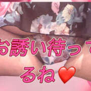 ヒメ日記 2025/03/22 02:59 投稿 あおい 大阪和泉ちゃんこ