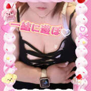 ヒメ日記 2025/04/16 08:59 投稿 あおい 大阪和泉ちゃんこ