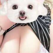 ヒメ日記 2025/04/16 21:09 投稿 あおい 大阪和泉ちゃんこ