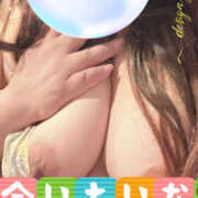 ヒメ日記 2025/05/17 17:36 投稿 あおい 大阪和泉ちゃんこ