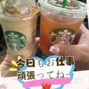 ヒメ日記 2025/06/05 15:39 投稿 あおい 大阪和泉ちゃんこ