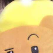 ヒメ日記 2025/06/23 12:09 投稿 あおい 大阪和泉ちゃんこ