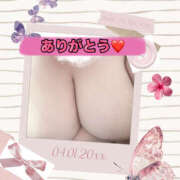 ヒメ日記 2025/08/24 00:39 投稿 あおい 大阪和泉ちゃんこ