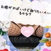 ヒメ日記 2025/09/08 21:09 投稿 あおい 大阪和泉ちゃんこ