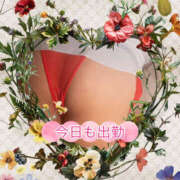 ヒメ日記 2025/09/10 19:49 投稿 あおい 大阪和泉ちゃんこ