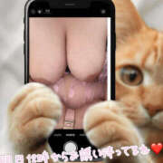 ヒメ日記 2025/10/02 17:29 投稿 あおい 大阪和泉ちゃんこ