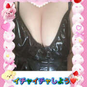 ヒメ日記 2025/10/03 08:19 投稿 あおい 大阪和泉ちゃんこ