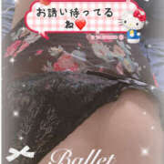 ヒメ日記 2025/10/10 13:29 投稿 あおい 大阪和泉ちゃんこ