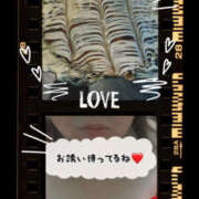 ヒメ日記 2025/10/17 04:59 投稿 あおい 大阪和泉ちゃんこ