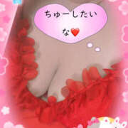 ヒメ日記 2025/11/08 10:19 投稿 あおい 大阪和泉ちゃんこ