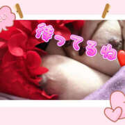 ヒメ日記 2025/12/19 11:09 投稿 あおい 大阪和泉ちゃんこ