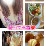 ヒメ日記 2025/12/20 16:29 投稿 あおい 大阪和泉ちゃんこ