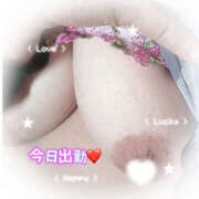 ヒメ日記 2026/01/17 15:19 投稿 あおい 大阪和泉ちゃんこ