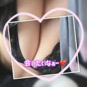 ヒメ日記 2026/01/30 08:19 投稿 あおい 大阪和泉ちゃんこ