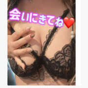 ヒメ日記 2026/02/11 21:39 投稿 あおい 大阪和泉ちゃんこ