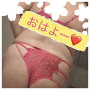 ヒメ日記 2026/02/25 08:29 投稿 あおい 大阪和泉ちゃんこ