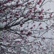 ヒメ日記 2026/03/12 21:19 投稿 あおい 大阪和泉ちゃんこ