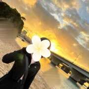 ヒメ日記 2025/03/08 19:10 投稿 ひよこ ビギナーズ神戸